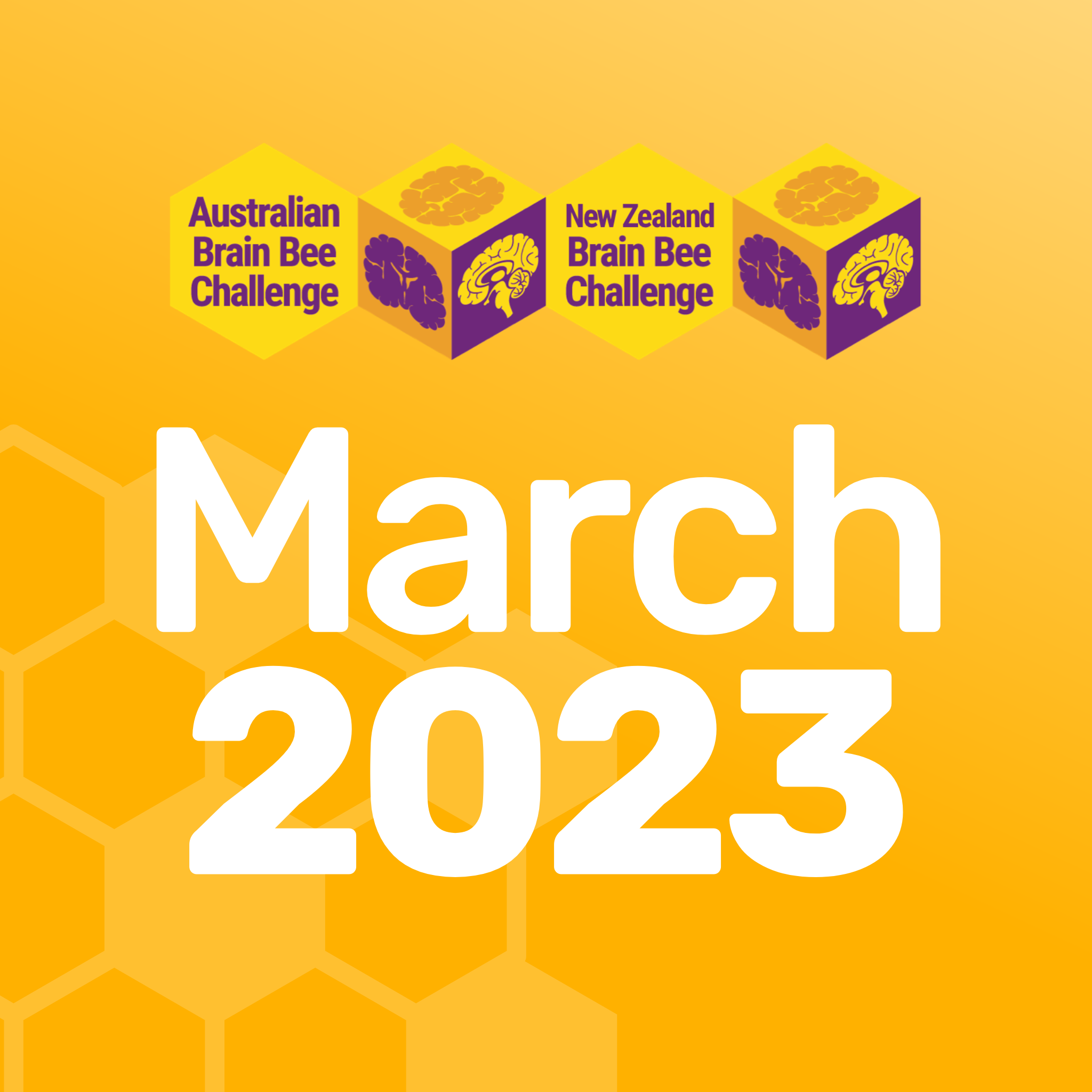Brain Bee Challenge Website SquaresTile 2